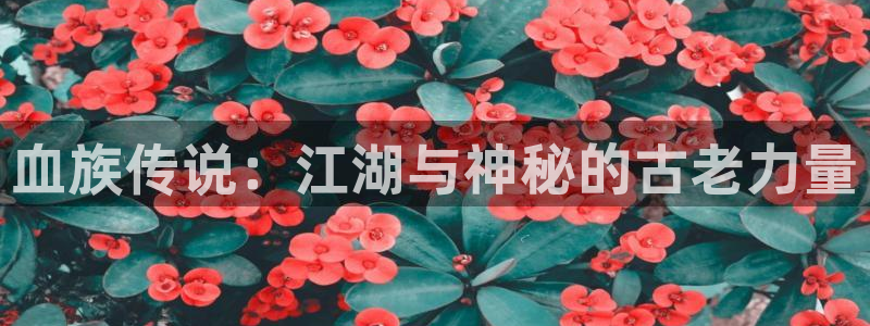 喵趣漫：血族传说：江湖与神秘的古老力量