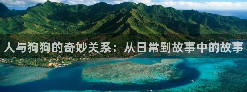 喵趣漫画下载：人与狗狗的奇妙关系：从日常到故事中的故事