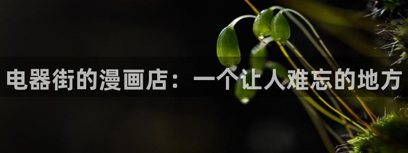 喵趣屋：电器街的漫画店：一个让人难忘的地方