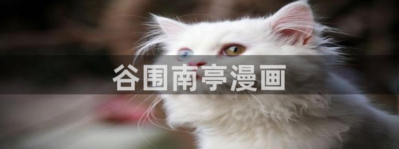 喵趣漫画app最新版：谷围南亭漫画