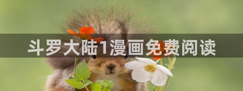 www,喵趣.com：斗罗大陆1漫画免费阅读